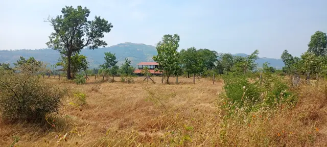 Green surroundings at Ketkawne Vangni, Velhe